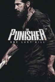 The Punisher: One Last Kill